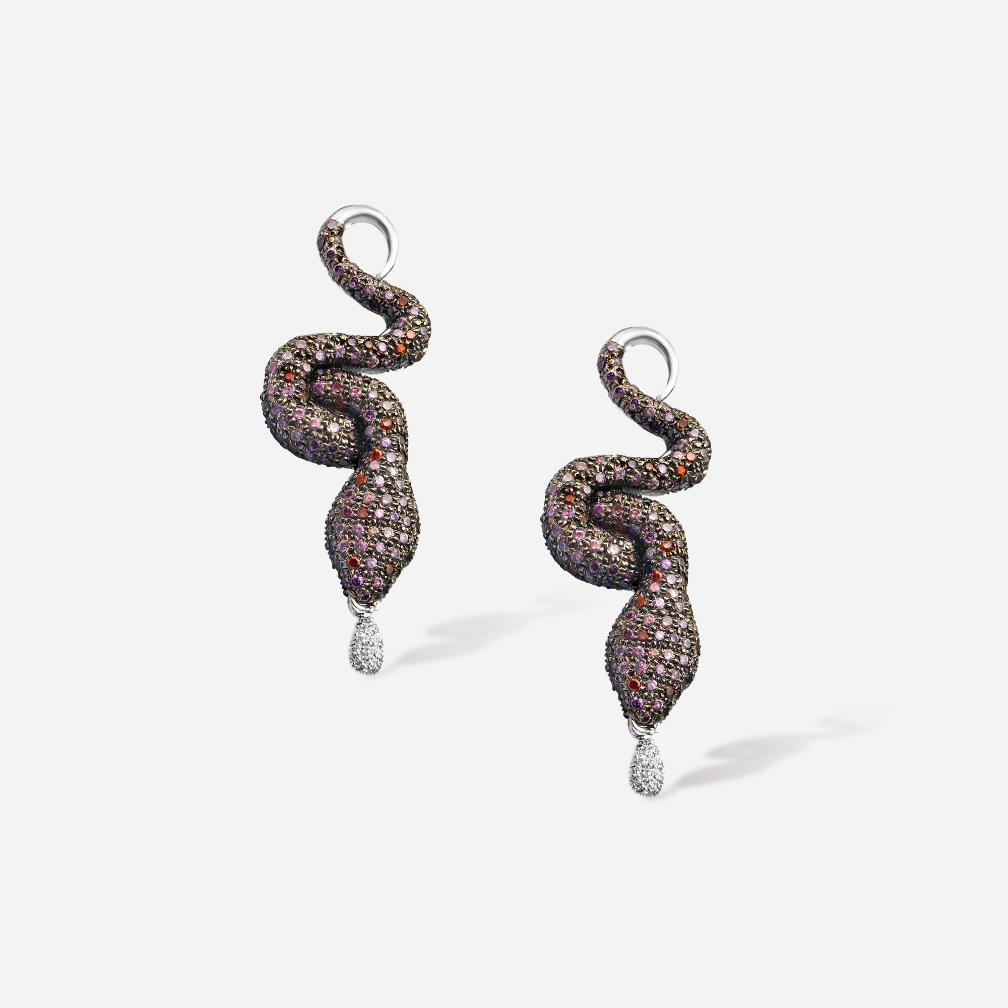 The Snake Charmer