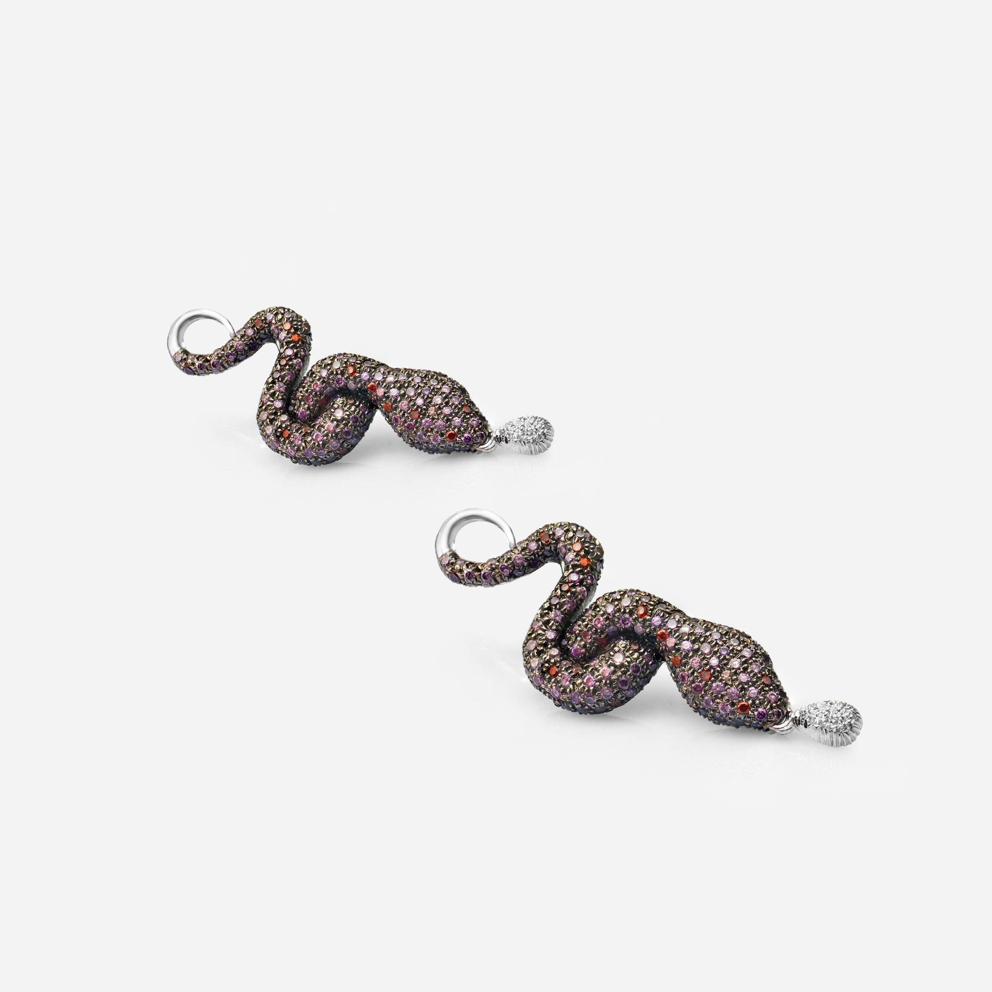 The Snake Charmer