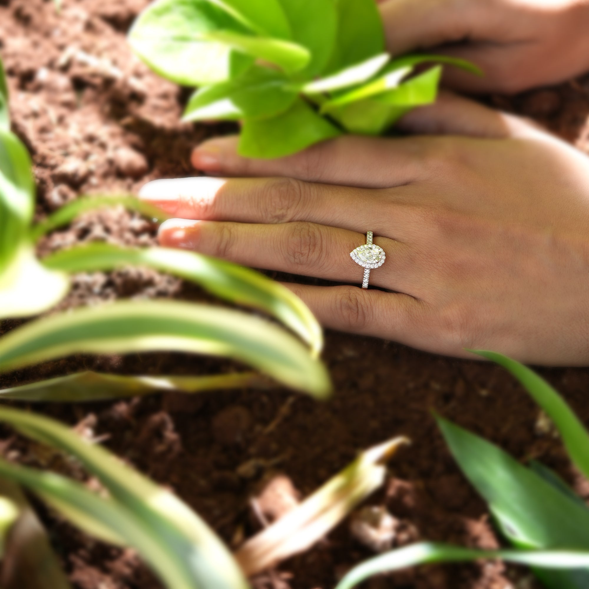 Drop Of Shimmer Ring