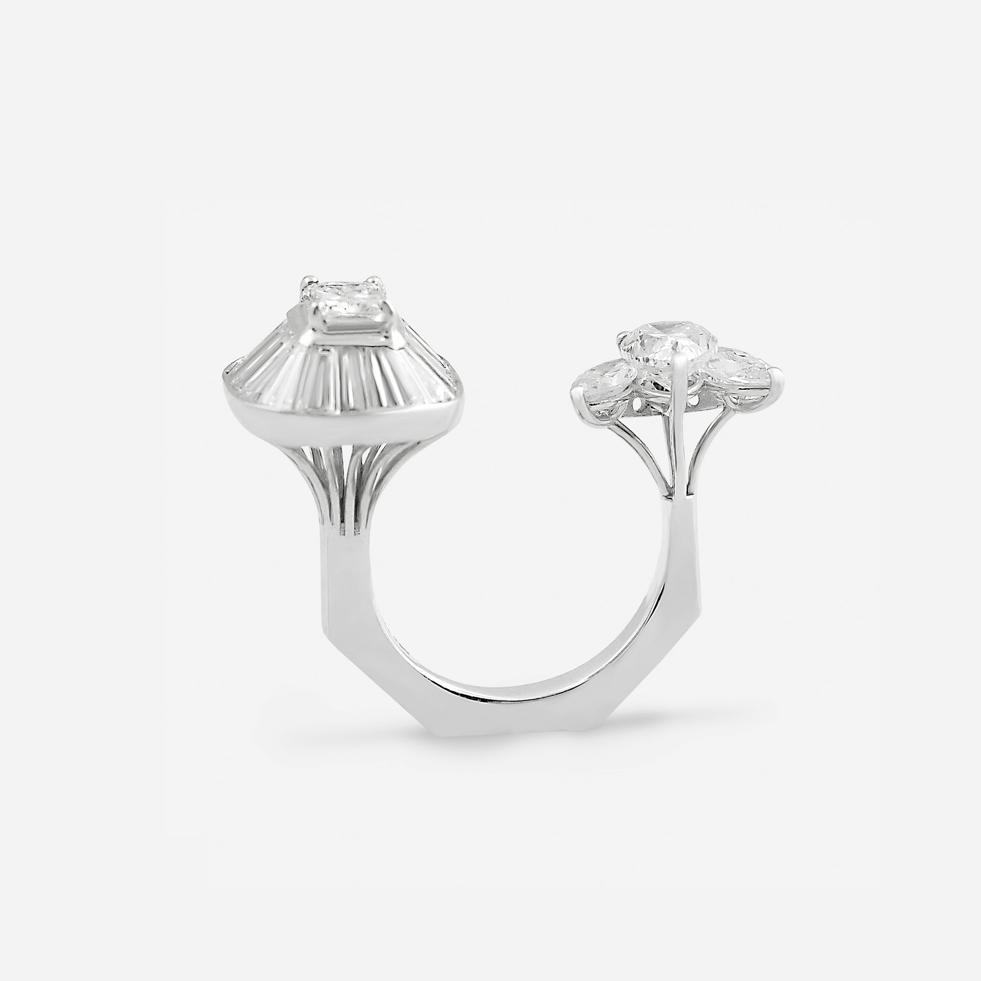 Zenith Equilibria Ring
