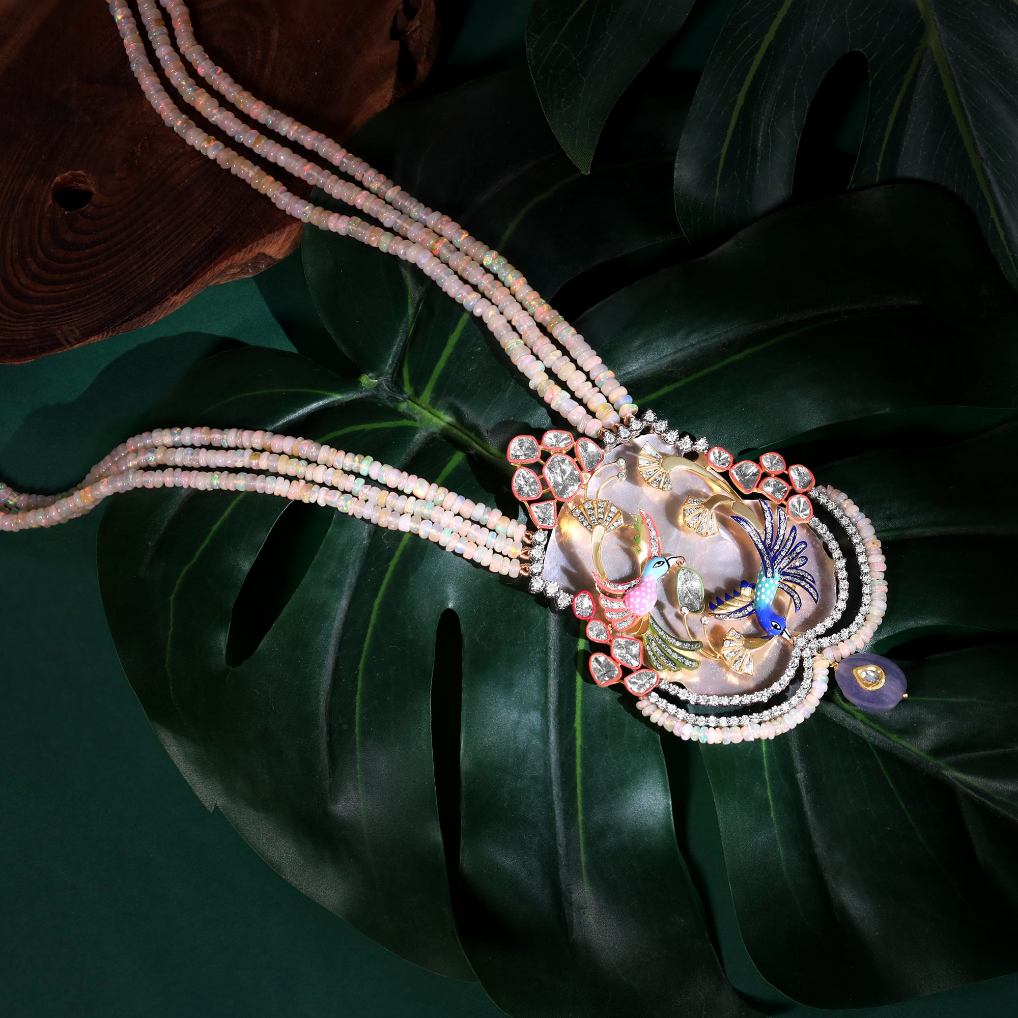 NaïyaDi - The Eternal Dance