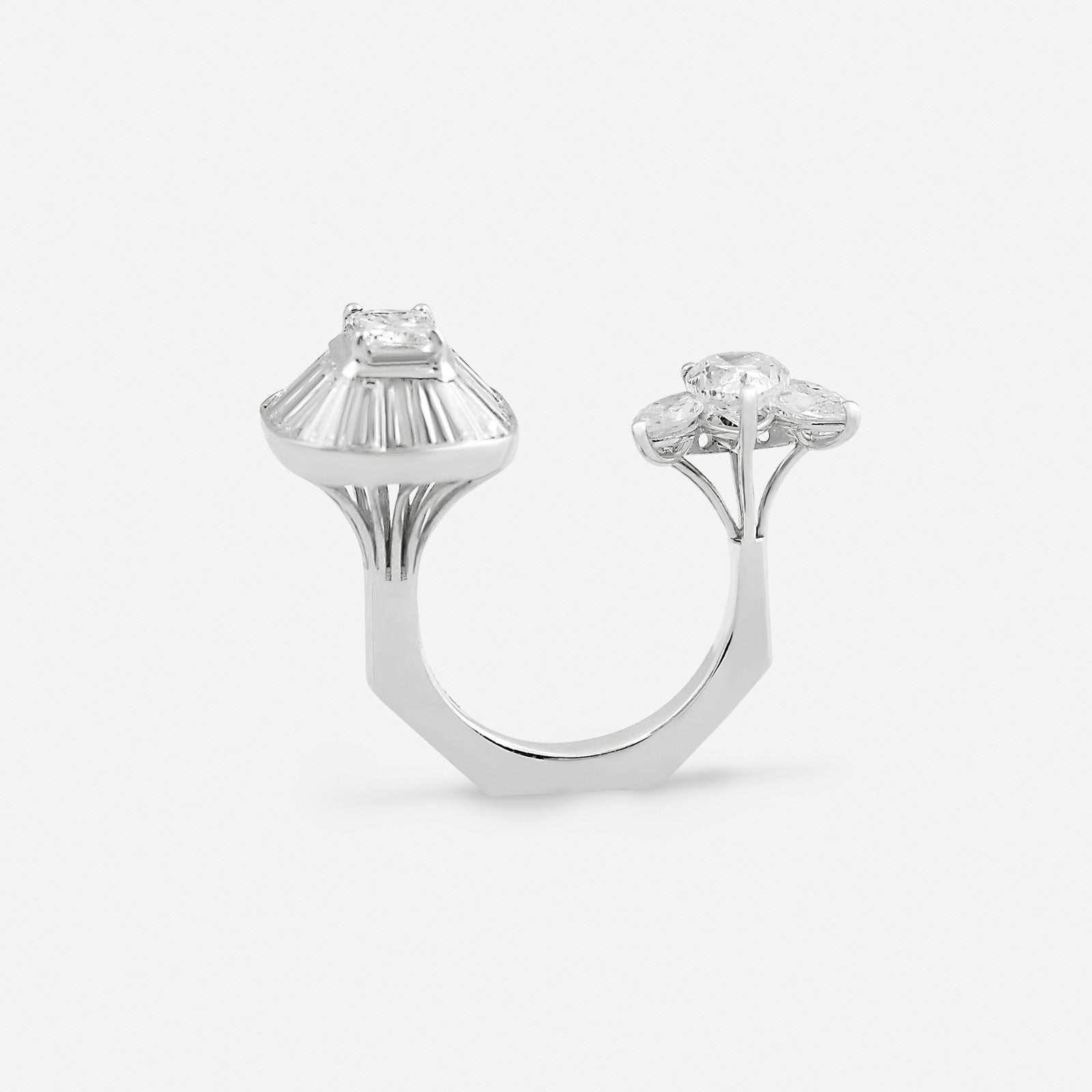 Zenith Equilibria Ring